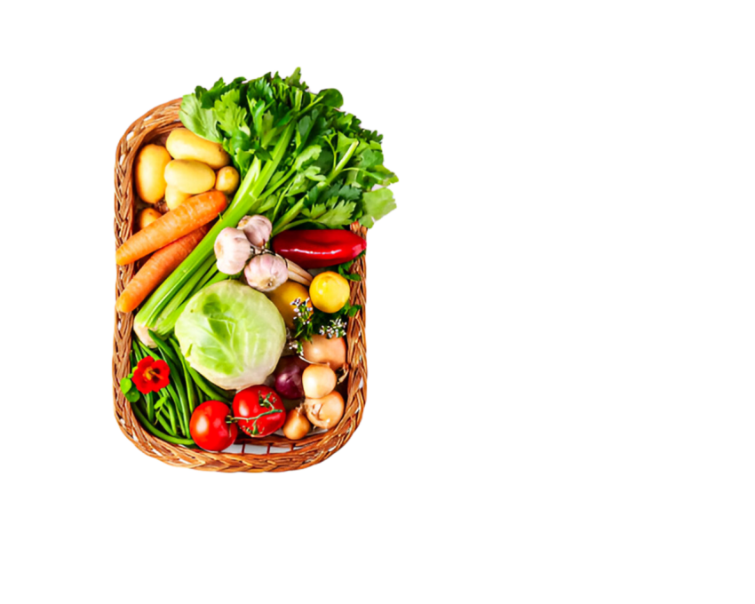 Vegetables png file free download (frefile com) 15