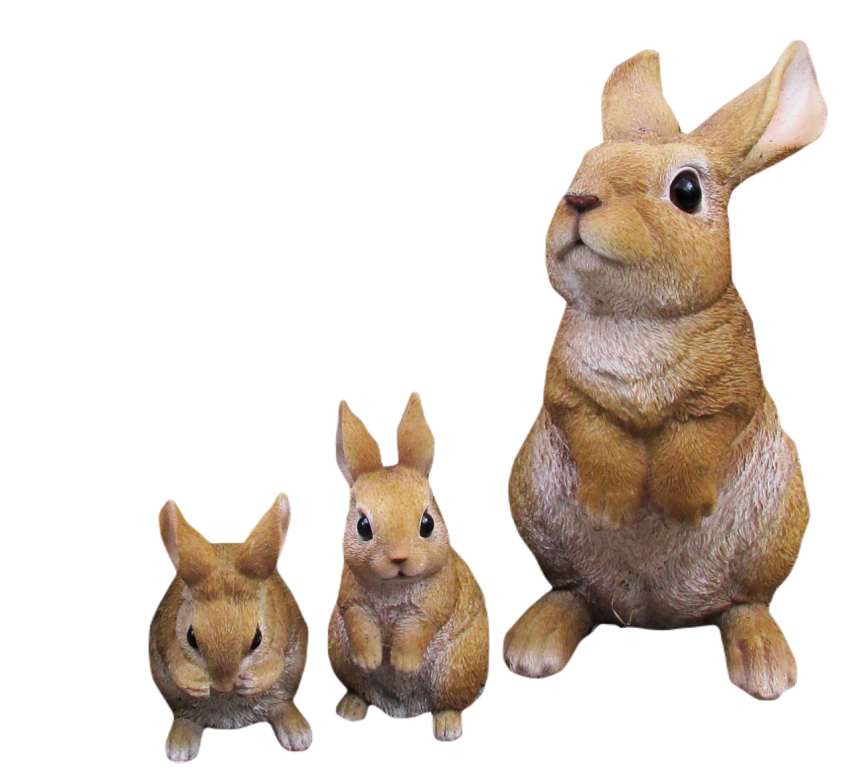 Rabbit 2433391