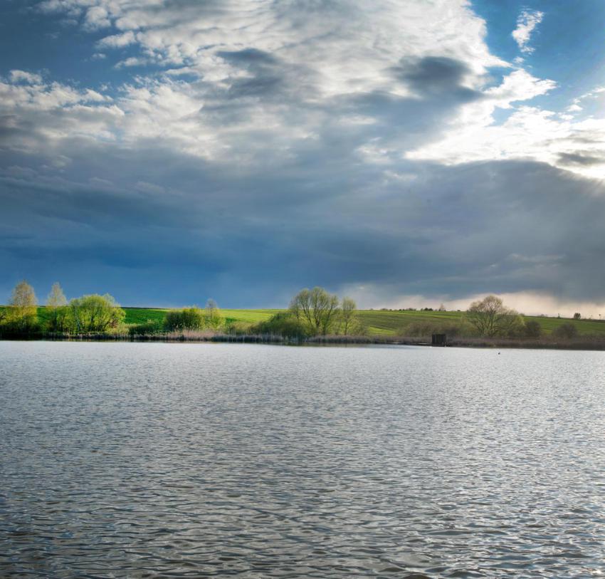Lake before the storm and beautifully lit trees an 2023 11 27 05 29 38 utc