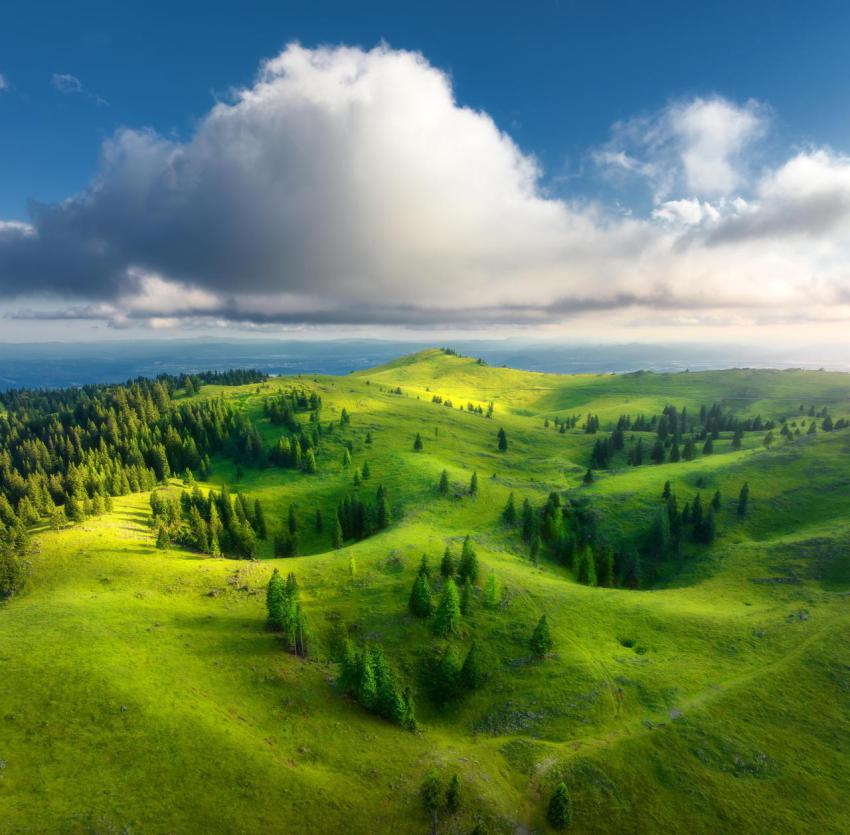 Aerial view of green alpine meadows on the hills a 2024 12 02 16 06 05 utc