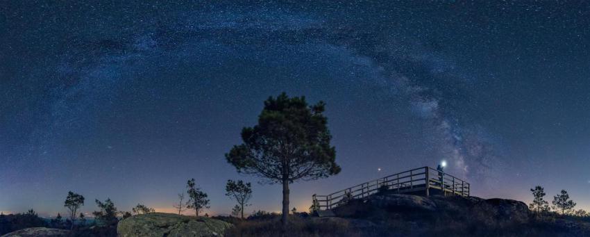 Panoramic shot of trees growing next to the pier i 2023 11 27 05 25 21 utc