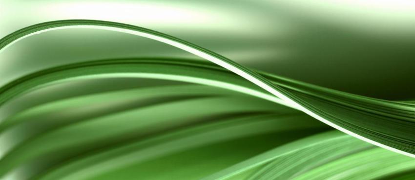 Abstract blur color wave curl green strip paper ba 2025 01 09 02 25 27 utc