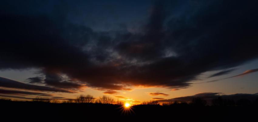 Sunset sky behind silhouette forest tree in evenin 2024 01 16 15 27 22 utc