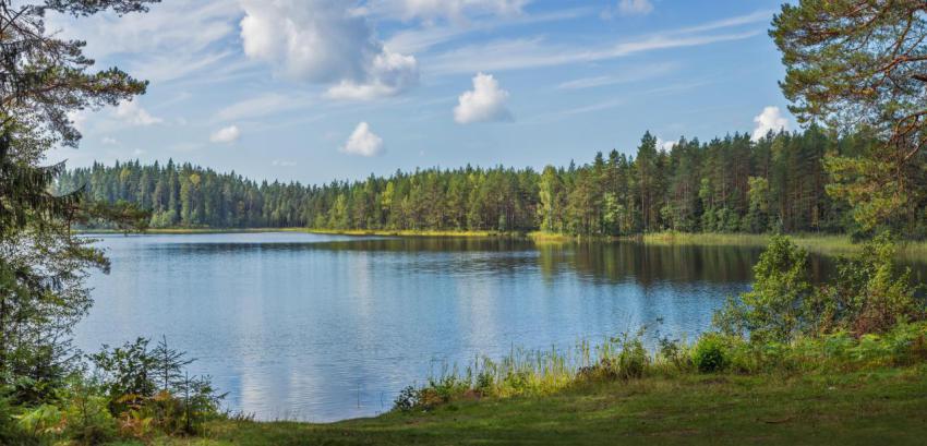 Panoramic view of beautiful forest lake in russia 2024 10 23 08 39 28 utc