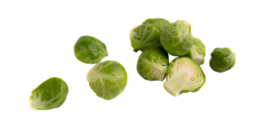 Vegetables png file free download (frefile com) 44