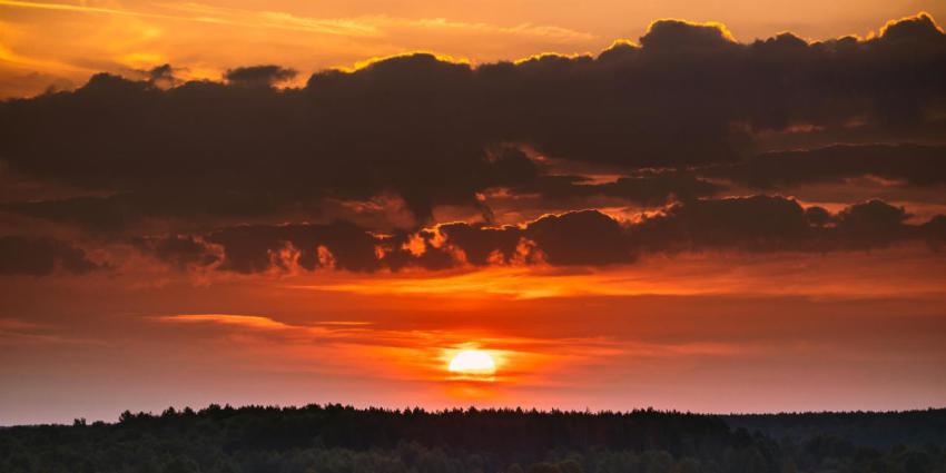 Sunrise over forest landscape scenic view of suns 2023 11 27 05 28 59 utc