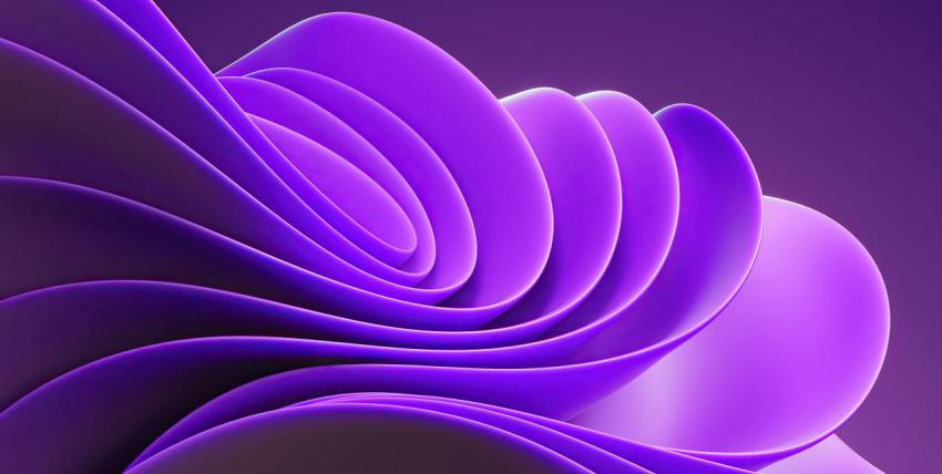 Walpaper, photo, background free download (73)