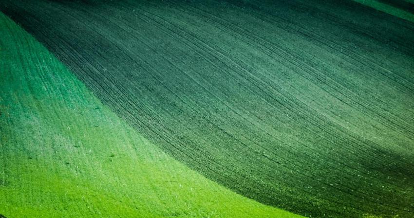 Beautiful moravian fields 2024 01 23 06 00 22 utc