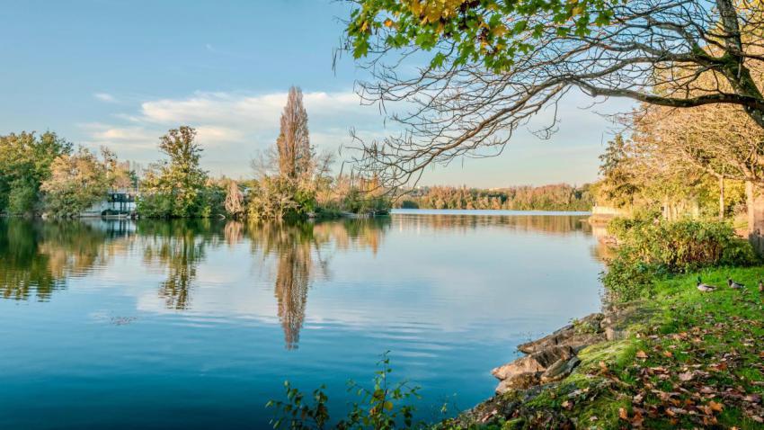 Tranquil lake scene with autumn trees cergy fran 2024 11 07 17 20 49 utc