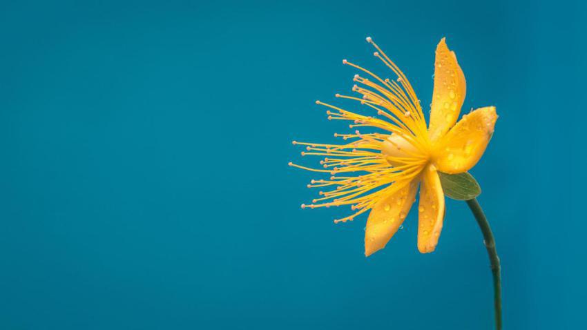 Best Wallpapers (51)