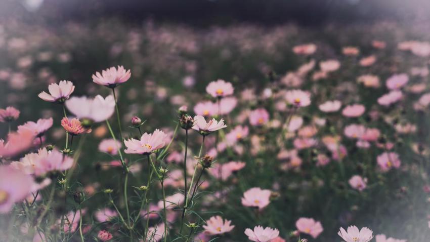 Best Wallpapers (73)