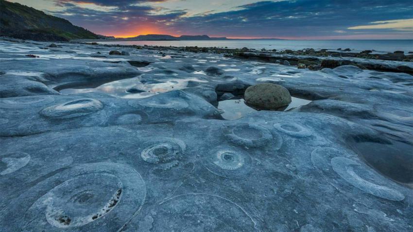 AmmoniteGraveyard