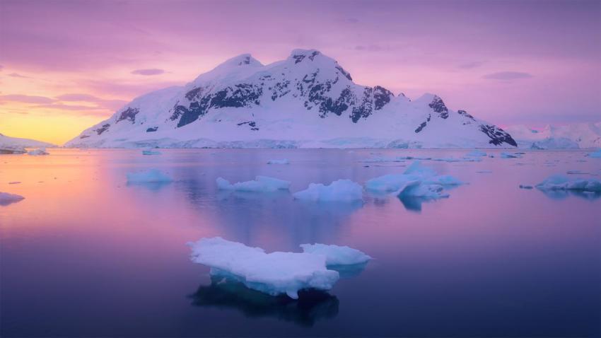 AntarcticaDay