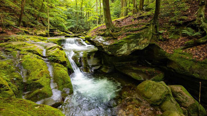BearHoleBrook