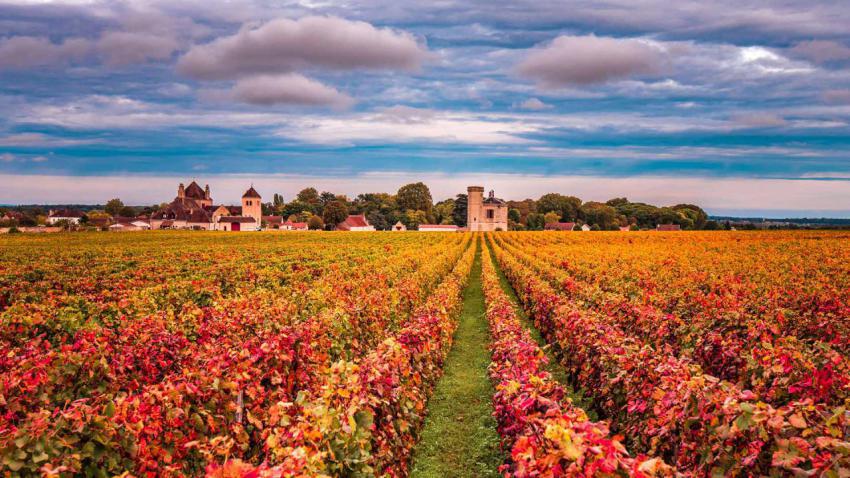 Beaune