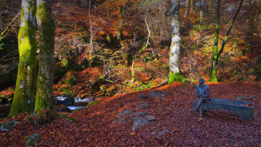 BirksofAberfeldy