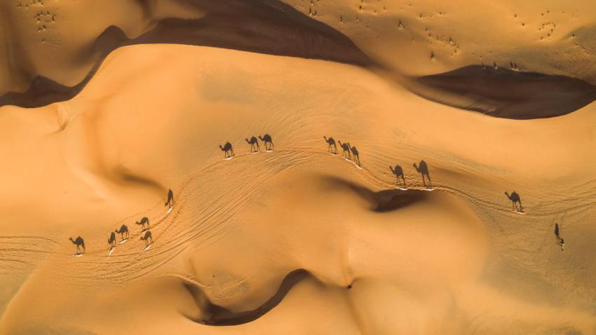 CamelsAbove