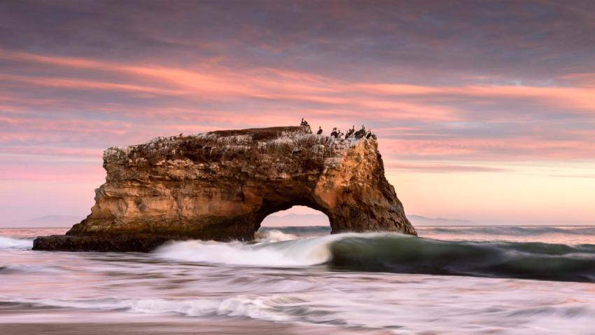 CormorantBridge