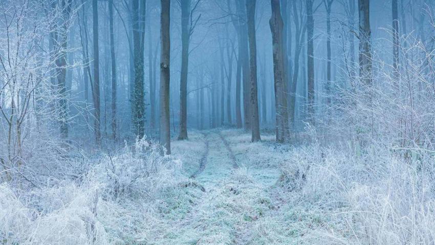 CranborneChase 1920x1080
