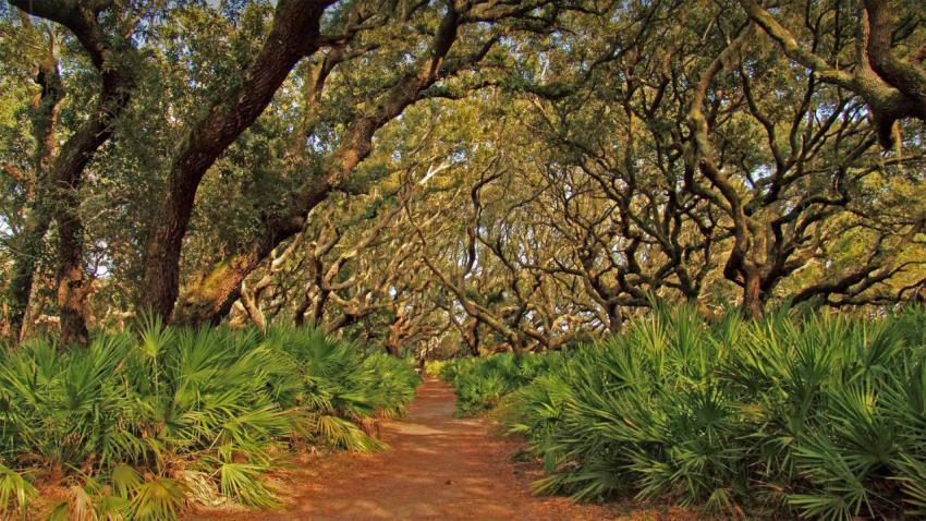CumberlandSeashore