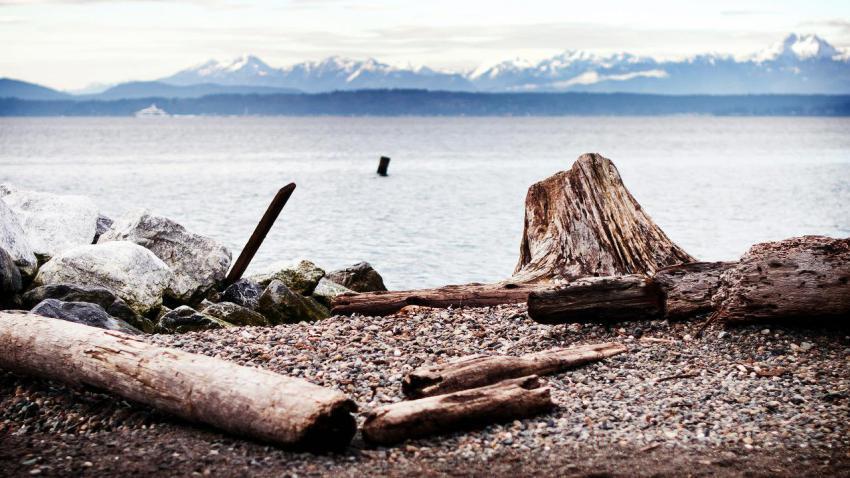 02816 seattlelog 2560x1440