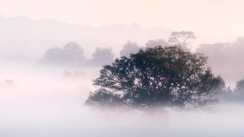 02827 morningmist 2560x1440