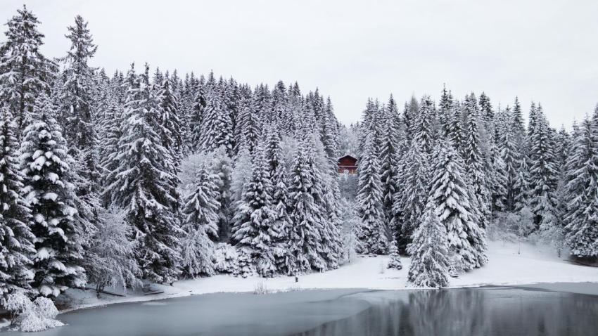 02839 smalllakeinswitzerland 2560x1440