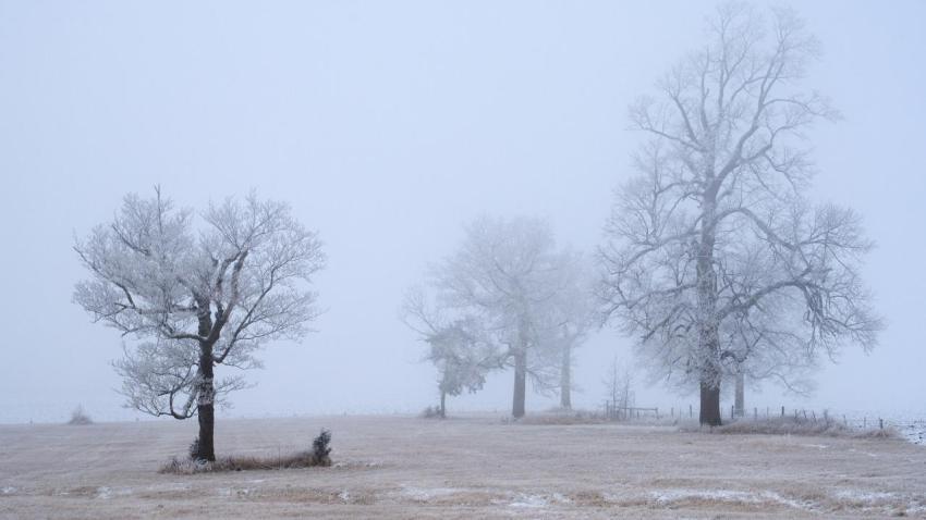02864 frozenmist 2560x1440