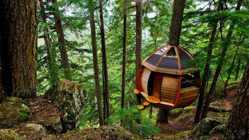 02959 hemloftsecrettreehouse 2560x1440