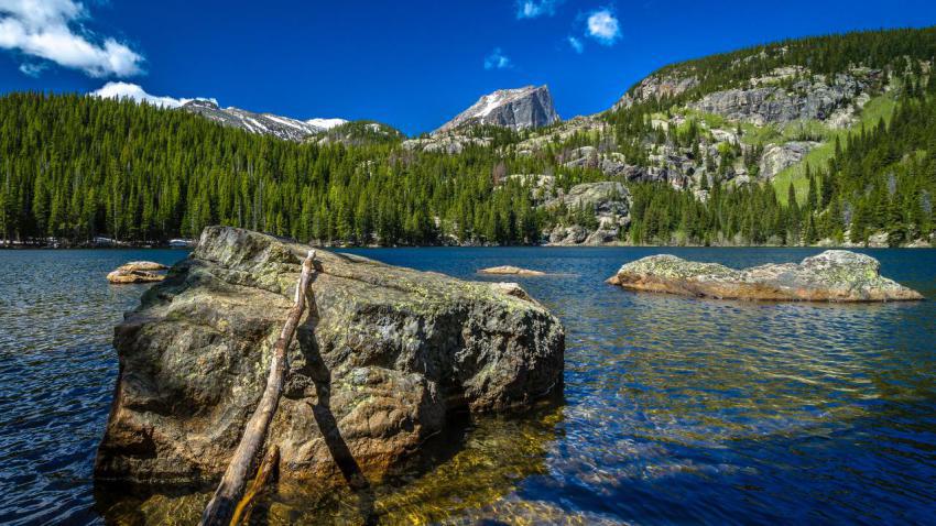 Blues of Bear Lake