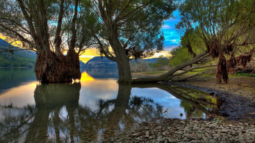 03012 treesbythewater 2560x1440