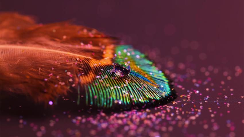 03084 featherlight 2560x1440