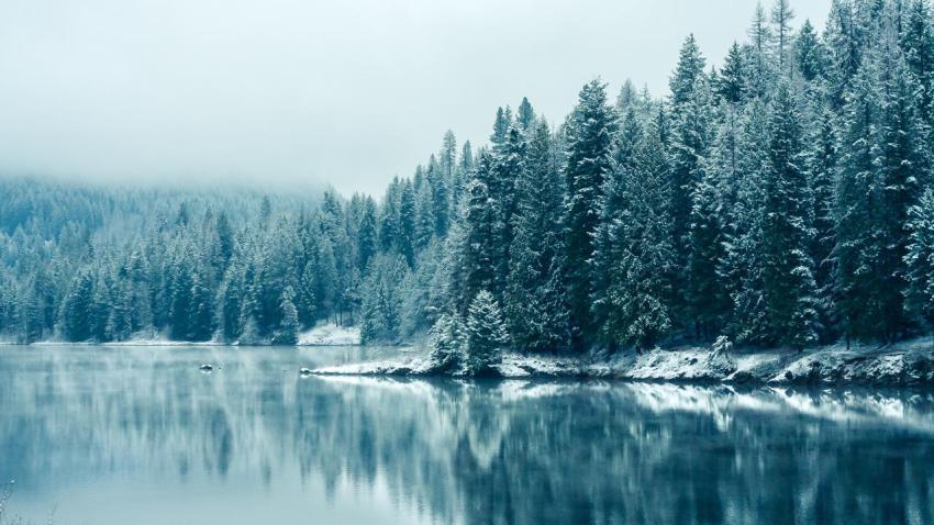 03134 firstlightofwinter 2560x1440