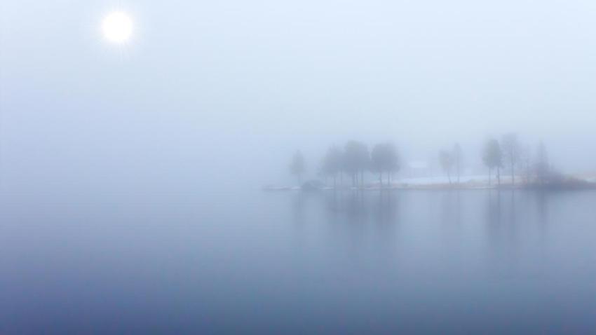 03153 bluefog 2560x1440
