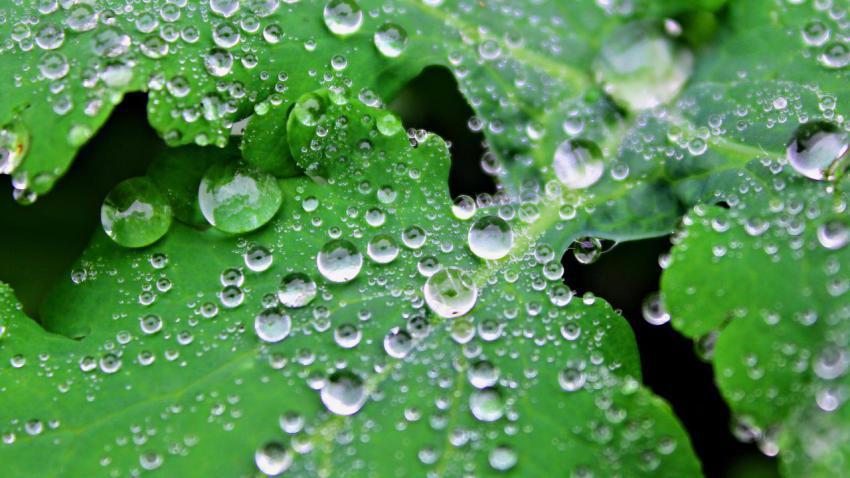 03186 waterdroplets 2560x1440