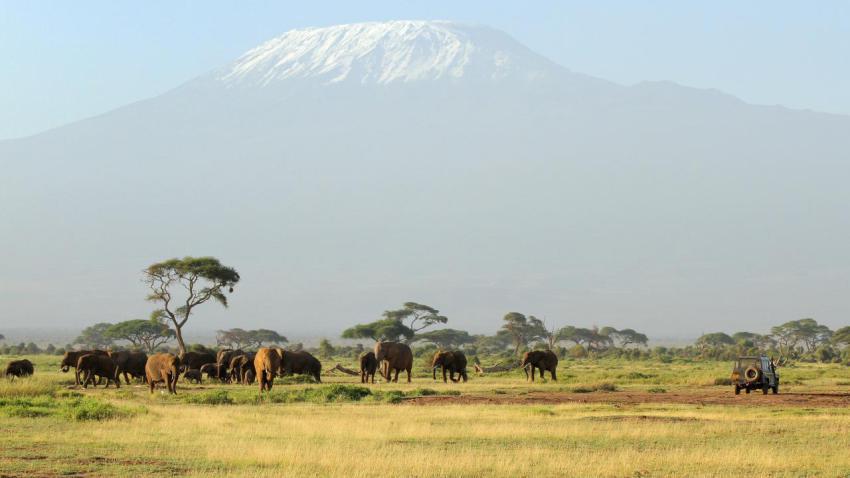 03191 unforgettablesafari 2560x1440
