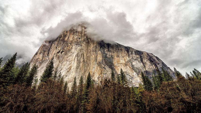 El capitan dares you.