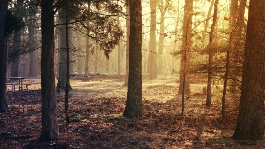 03222 morningchill 2560x1440