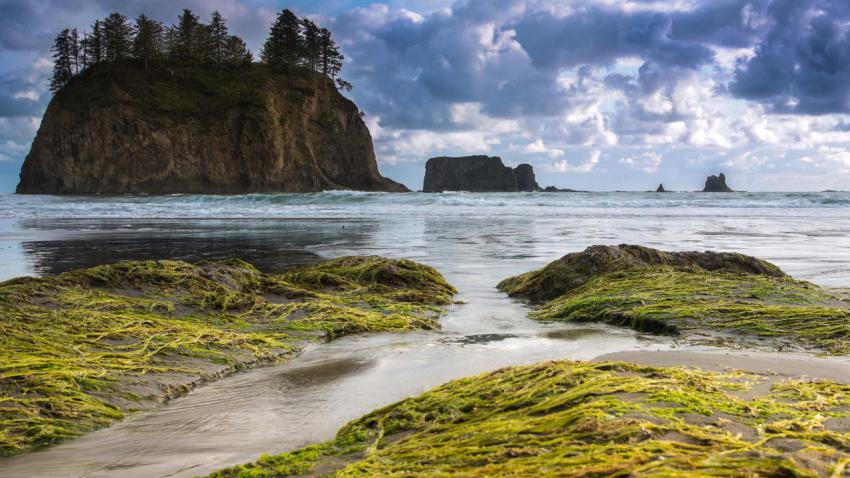 03265 secondbeachocean 2560x1440
