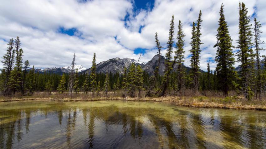 03283 canadianrockies 2560x1440