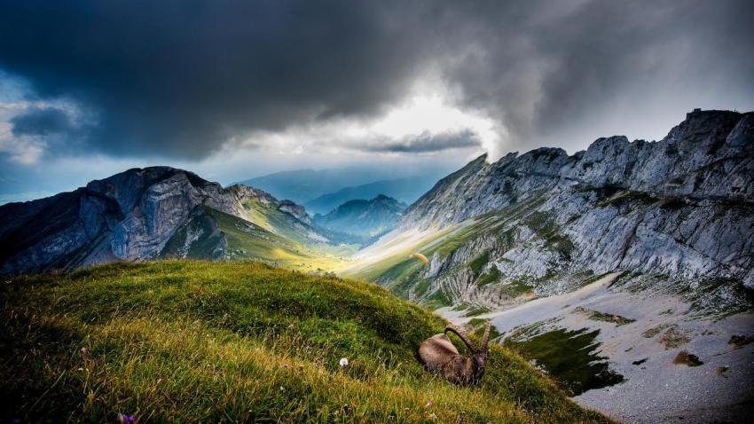 03385 ibexatmtpilatus 2560x1440