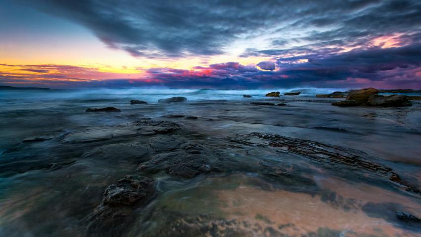 03390 whalebeachpartii 2560x1440