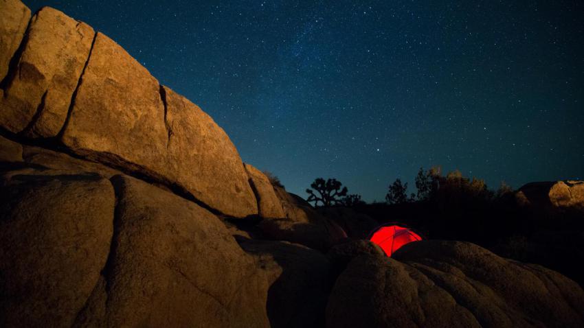 03433 starsoverjoshuatree 2560x1440