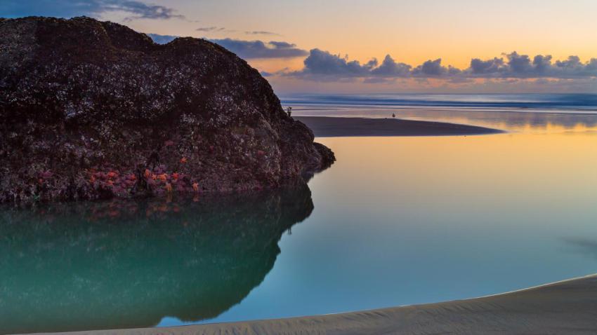 03447 bandonseastars 2560x1440