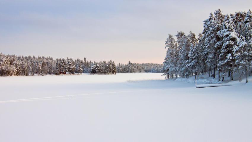 03499 landscapeinsnow 2560x1440