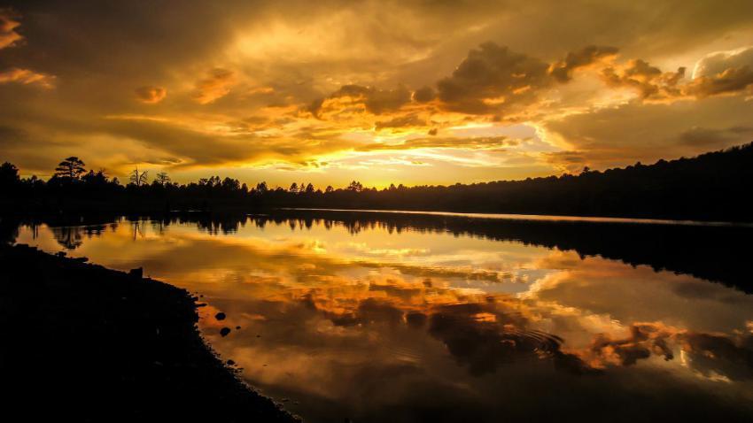 03546 kaibablake 2560x1440