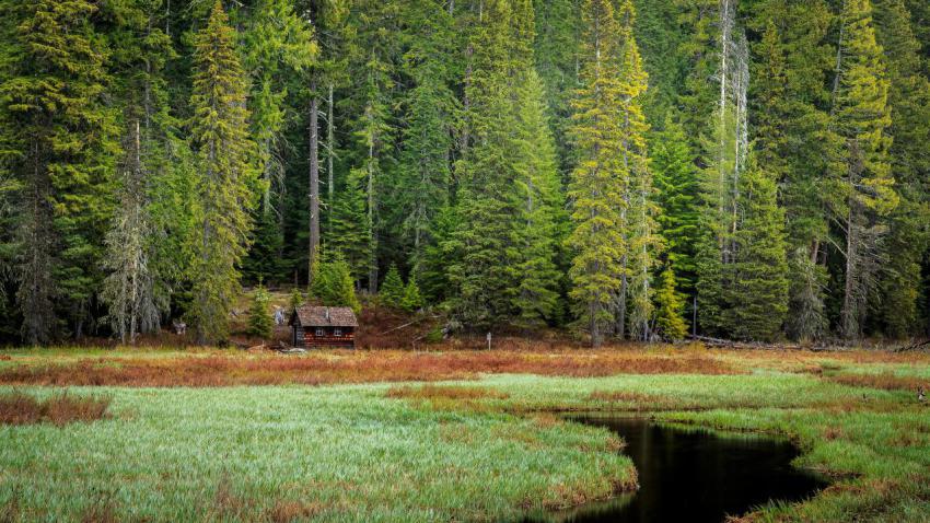 03587 thecabin 2560x1440