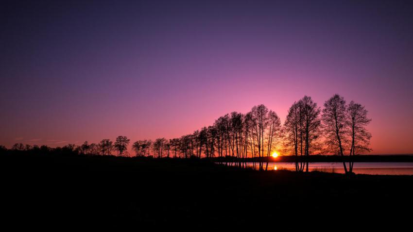 03604 treesilhouette 2560x1440