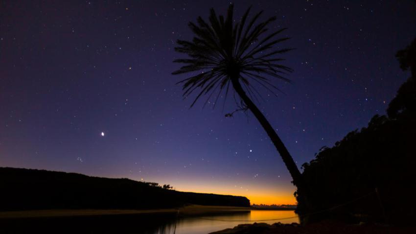 03627 atreeandstars 2560x1440