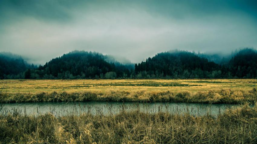 The River